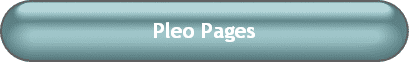 Pleo Pages